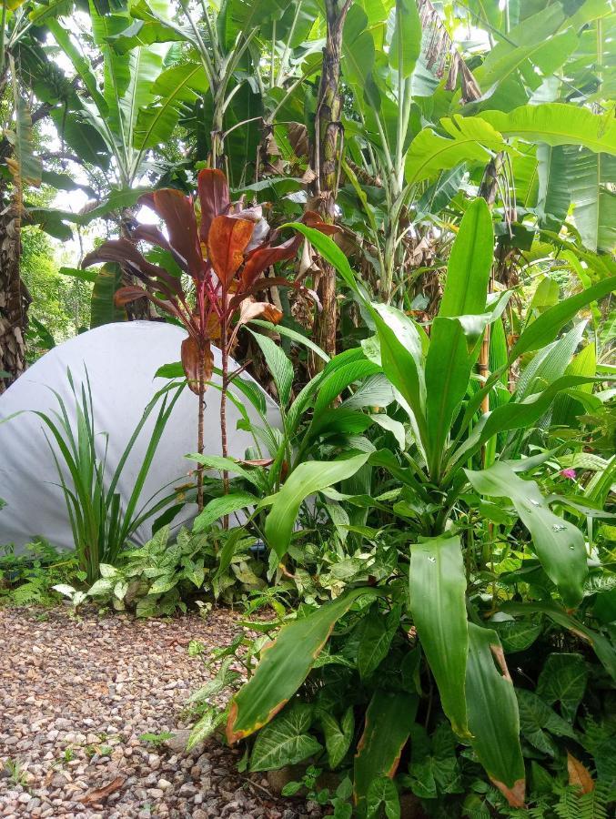 Camping Tropico De Capricornio - อิลญาเบลา ภายนอก รูปภาพ