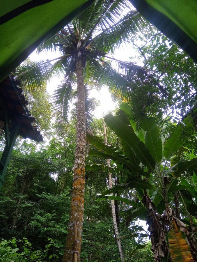 Camping Tropico De Capricornio - อิลญาเบลา ภายนอก รูปภาพ