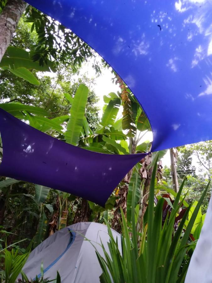Camping Tropico De Capricornio - อิลญาเบลา ภายนอก รูปภาพ